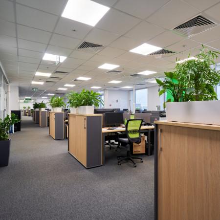 Общий вид этажа (open space)